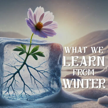 What We Learn From Winter // 3.23.25